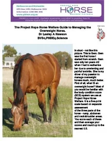 Guide to Overweight Horses