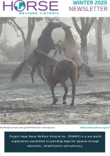 horse sense