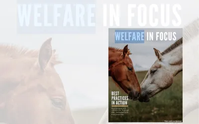WELFARE IN FOCUS – HHRF