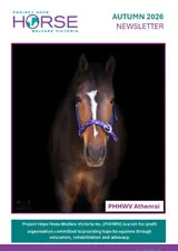 horse sense