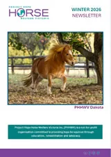 horse sense
